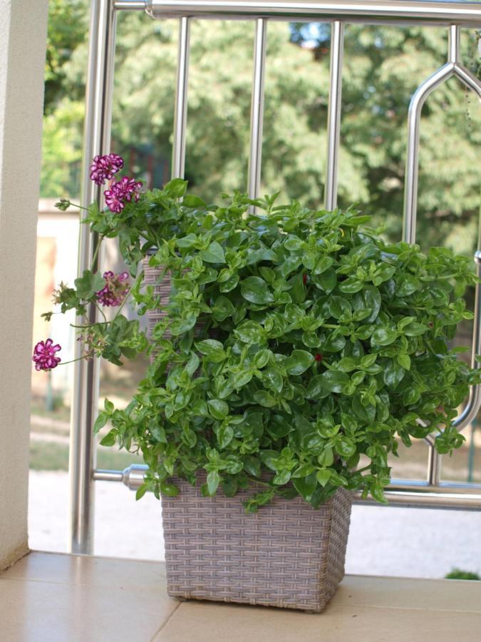 Apartments Mirasol Умаг Екстериор снимка